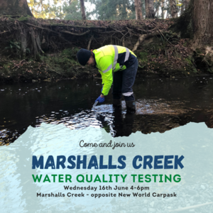 Marshalls Creek Stream Monitoring, 16th June