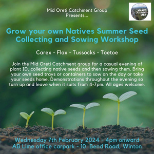 Grow Your Own Native Seed Collection & Sowing Workshop