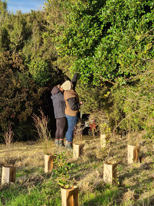 Mid Oreti Native Seed Collecting and Pest Control Workshop