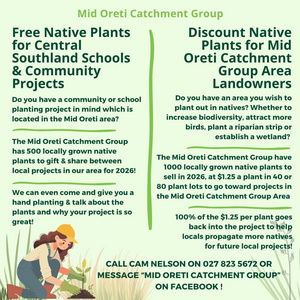 Mid Oreti Mini Forest Movement - Summer Native Seed Collecting Workshop  