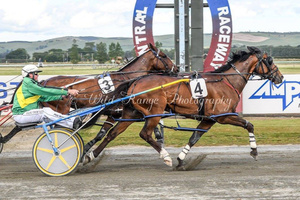 Wairio Trotting Club Wairio Trotting Club