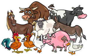 Free Farmer's Meals Free Farmer's Meals