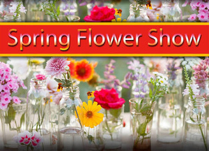 Spring Flower Show